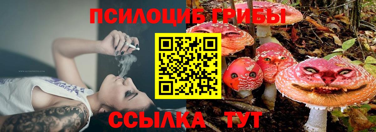 Галлюциногенные грибы Psilocybe  как найти   Галлюциногенные грибы мухоморы  Верхний Уфалей  Вход с VPN 